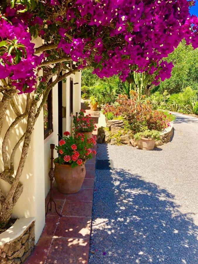 Agroturismo Can Talaias San Carlos Es Canar  Luaran gambar